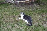 20030924_Kitty Kat_066
